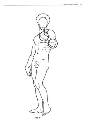 1. MEMBRO SUPERlOR   109




Fig.3-1
 