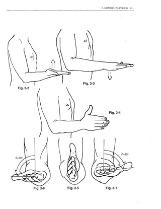 . 1. MEMBRO SUPERIOR 111




                                Fig.3-3
Fig.3-2




                                                Fig.3-4




                      1




          Fig.3-6   Fig:--3-5                Fig.3-7
 