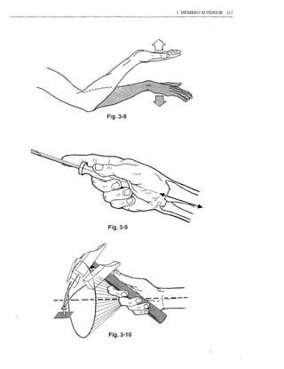 1. MEMBRO SUPERIOR   113




Fig.3-8




Fig.3-9




Fig. 3-10
 