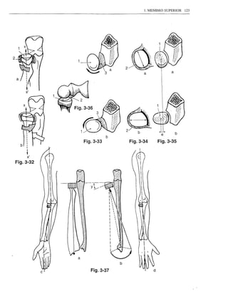 1. MEMBRO SUPERIOR   123




2

                                  2
                                            a            a




                                                    ~        b
                          b
               Fig.3-33               Fig.3-34    Fig.3-35


         X'

    Fig.3-32




                              b

                  Fig.3-37
 