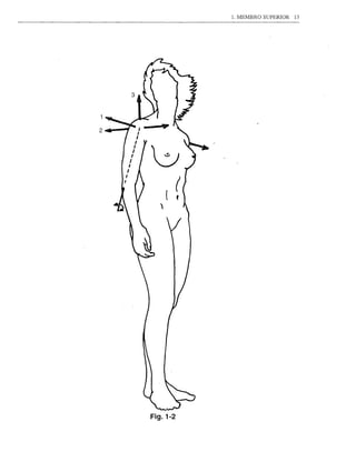 1. MEMBRO   SUPERIOR   13




    ,2-4. ,- -.,
    I J


    i/0
I   I
    ,
    I
                   (
                   (




                       Fig.1-2
 
