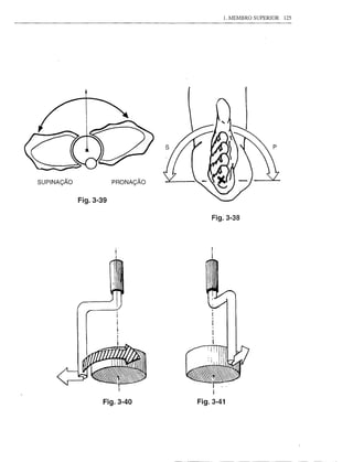 1. 1-lEMBRO SUPERIOR   125




SUPINAÇÃO              PRONAÇÃO


            Fig.3-39

                                      Fig.3-38




                                      I --
                                      I
                   Fig.3-40       Fig.3-41
 