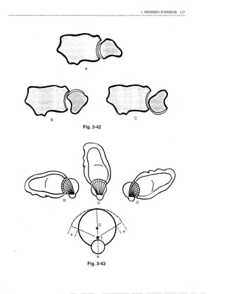 1. MEMBRO SUPERIOR 127




        A




B
                       c

        Fig.3-42




    B
                 D




                A

            Fig.3-43
 
