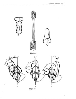 1. MEMBRO SUPERIOR   133




             t)




    B




             A


         Fig.3-51

                  SnF       Fn +150




B                  A         c
        Fig.3-52
 