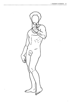1. MEMBRO SUPERIOR 141
 