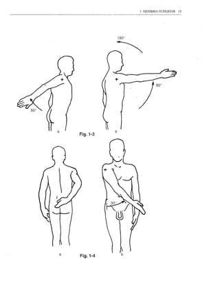 L MEMBRO SUPERIOR   15




               b
    Fig. 1-3




a                  b
    Fig.1-4
 