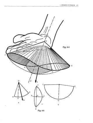 1. MEMBRO SUPERIOR       147




                                  Fig.4-4




                                             E




    o
         /
         •
        / O'

                                                    E



         c
             R
R



    a


                 E
                     Fig.4-5
 