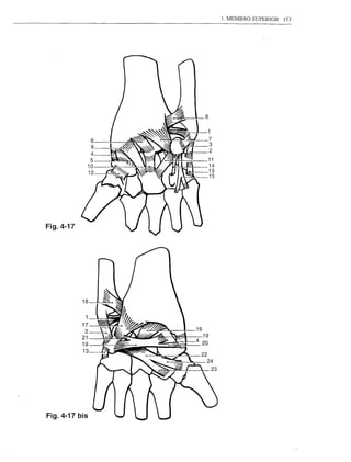 1. MEMBRO SUPERIOR   153




                     8


                 6
                 9
                 4
                5
                10
                12




Fig.4-17




Fig. 4-17 bis
 