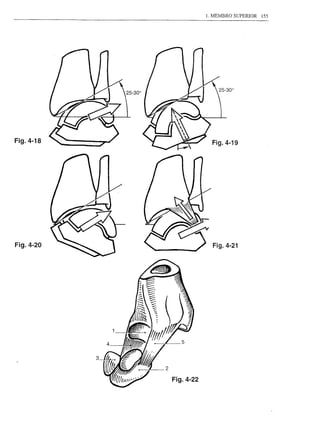1. MEMBRO SUPERIOR   155




Fig.4-18         Fig.4-19




Fig.4-20




           3
 