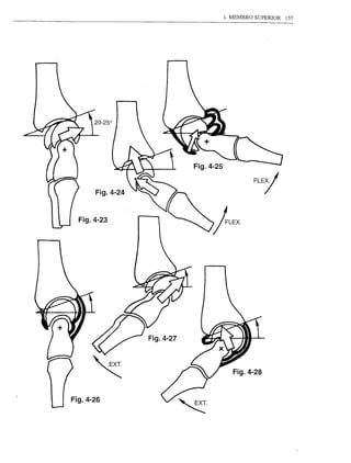 1. MEMBRO SUPERIOR   157




       Fig.4-24


  Fig.4-23




                     Fig.4-28


Fig.4-26
 
