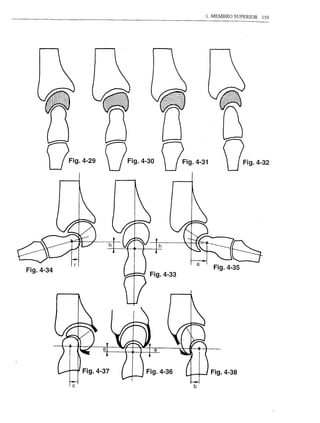 1. MEMBRO SUPERIOR   159




               V   Fig.
                      4-30   VFi9.4-31             VFí9.4-32




                                         a
Fig.4-34                                       Fig.4-35




                       Fig.4-36               Fig.4-38
           c                         b
 