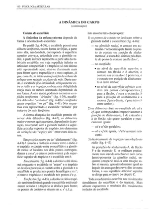 160 FISIOLOGIA ARTICULAR




                                     A DINÂMICA DO CARPO
                                                (continuação)

     Coluna do escafóide                                        Isto envolve três observações:
      A dinâmica da coluna externa depende da                   1) os pontos de contato se deslocam sobre a
forma e orientação do escafóide.                                   glenóide radial e o escafóide (fig. 4-46):
      De perfil (fig. 4-39), o escafóide possui uma               -      na glenóide radial, o contato em ex-
silhueta renifonne, ou em forma de feijão, a parte                       tensão c' se localiza pela frente do pon-
mais alta, arredondada, corresponde à superfície                         to de contato em posição de alinha-
superior convexa, articulada com a glenóide ra-                          mento a', e estes dois últimos pela fren-
dial, a parte inferior representa a parte alta do tu-                    te do ponto de contato em flexão e';
bérculo escafóide, em cuja superfície inferior se                  -     no escafóide:
articulam o trapezóide e o trapézio; só este último
está representado aqui; situa-se claramente mais                         • no nível da supeifície superior, o
para frente que o trapezóide e o osso capitato, já                         contato em flexão e é anterior, o
que, com ele, se inicia a anteposição da coluna do                         contato em extensão c é posterior, e
polegar com relação ao plano da mão. Deste mo-                             o contato em posição de alinhamen-
do, o escafóide fica intercalado obliquamente en-                          to a entre ambos;
tre o rádio e o trapézio, embora esta obliqüidade                        • no nível da supeifíGie infe ri 01; a or-
 esteja mais ou menos acentuada dependendo da                              dem dos pontos correspondentes f
 sua forma. Assim sendo, podemos encontrar esca-                           para a flexão, d para a extensão, b
fóides renifonnes "deitados" (fig. 4-39), escafói-                         para a posição de alinhamento é a
 des dobrados "sentados" (fig. 4-40) e escafóides                          mesma (j para diante, d para trás e b
 quase erguidos "em pé" (fig. 4-41). Nos esque-                            entre ambos).
 mas está representado o escafóide "deitado" por                2) os diâmetros      úteis no escafóide ab, cd e
 tratar-se do mais freqüente.                                      eJ,que correspondem respectivamente à
       A forma alongada do escafóide permite ob-                   posição de alinhamento, à de extensão e
 servar dois diâmetros (fig. 4-42), os diâmetros                   à de flexão, são quase paralelos e prati-
 maior e menor, que aparecem, dependendo da po-                    camente iguais:
 sição, em contato com a glenóide radial e a super-
                                                                   -     cd e ef são paralelos;
 fície articular superior do trapézio; isto determina
 as variações do "espaço útil" entre estes dois os-                -     ab e ef são iguais, cd é levemente mais
 sos.                                                                    curto.
      Em posição neutra ou de "alinhamento" (fig.               3) deslocamento do trapézio com relaçâo ao
4-43) é quando a distância é maior entre o rádio e                 rádio (fig. 4-47)
o trapézio; o contato entre o escafóide e a glenói-              As posições de alinhamento A, de flexão
de radial se localiza nos dois pontos correspon-                 F e de extensão E, se realizam pratica-
dentes a a e a', e entre o ponto central g da super-             mente num círculo concêntrico com curva
fície superior do trapézio e o escafóide em b.                   ântero-posterior da glenóide radial, en-
      Em extensão (fig. 4-44), a distância útil dimi-            quanto o trapézio realiza uma rotação so-
nui enquanto o escafóide se "ergue" e o trapézio                 bre si mesmo, aproximadamente igual ao
se desloca para trás; o contato entre a glenóide e o             ângulo do arco que descreve: dito de outra
escafóide se produz nos pontos homólogos c e c' ,                forma, a sua superfície articular superior
e entre o trapézio e o escafóide nos pontos de g.                se dirige para o centro do círculo C.
      Em fiexão (fig. 4-45), a distância rádio-trapé-         Toda esta dinâmica se refere aos movimentos
zio também diminui quando o escafóide está total-        simultâneos do escafóide e do trapézio. Mais
mente deitado e o trapézio se desloca para frente;       adiante exporemos o resultado dos movimentos
os pontos de contato se situam em e, e' eJ, g.           isolados do escafóide.
 