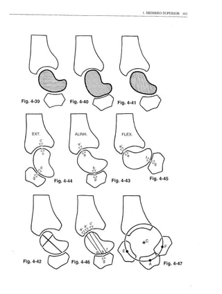 1. MEMBRO SUPERIOR   161




           Fig.4-43      Fig.4-45
Fig.4-44
 