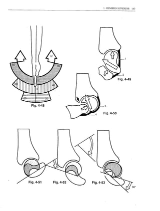 1. MEMBRO SUPERIOR   163




 Fig.4-48   3

            Fig.4-50




Fig.4-51
 