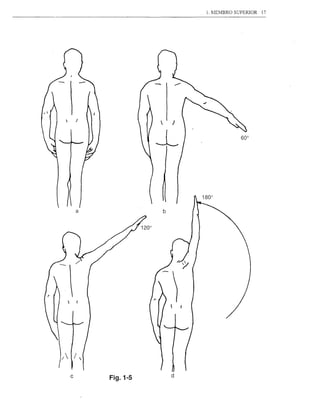 1. JIEMBRO SUPERIOR   17




.


           /




           a             b




    /  1/

       c                     d
               Fig.1-5
 