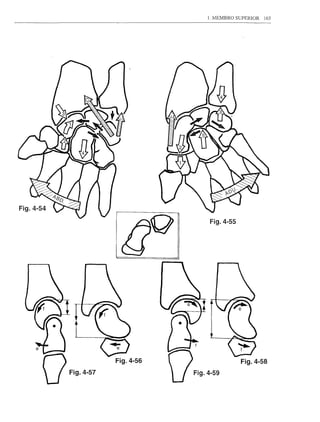 1. MEMBRO SUPERIOR     165




Fig.4-54

                                     Fig.4-55




           U
                          Fig.4-56               Fig.4-58


               Fig.4-57
 