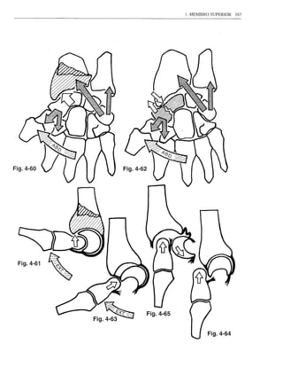 1. MEMBRO SUPERIOR   167




Fig.4-60




              ~
           Fig.4-63   .

                                   Fig.4-64
 