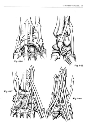 1. MEMBRO SUPERIOR   169




            Fig.4-68




           Fig.4-69
 