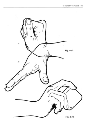 1. MEMBRO SUPERIOR   173




  Fig.4-72




  Fig.4-73
 