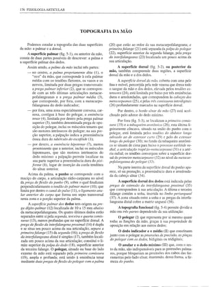 176 FISIOLOGIA ARTICULAR




                                         TOPOGRAFIA DA MÃO


    Podemos estudar a topografia das duas superfícies       (20) que estão ao redor da sua metacarpofalangeana; a
da mão: a palmar e a dorsal.                                primeirafalange (21) está separada da polpa do polegar
     A superfície palmar (fig. 5-1), ou anterior da mão,    (22), superfície anterior da segunda falange, pela prega
consta de duas partes possíveis de descrever: a palma e     da inteifalangeana (23) localizada um pouco acima da
a superfície palmar dos dedos.                              sua articulação.
    Assim sendo, a palma da mão inclui três partes:               A superfície dorsal (fig. 5-2), ou posterior da
    -    no centro, a palma propriamente dita (1), o        mão, também compreende duas regiões, a superfície
                                                            dorsal da mão e a dos dedos.
         "oco" da mão, que corresponde à cela palmar
         média com os tendões flexores, os vasos e os             A supeifície dorsal da mão, coberta com uma pele
         nervos, limitada por duas pregas transversais:     fina e móvel, percorrida pela rede venosa que drena todo
         a prega palmar inferior (2), que se correspon-     o sangue da mão e dos dedos, elevada pelos tendões ex-
         de com as três últimas articulações metacar-       tensores (24), está limitada por baixo por três eminências
         pofalangeanas e a prega palmar média (3),          duras e arredondadas, qu·e correspondem às cabeças dos
         que corresponde, por fora, com a metacarpo-        metacarpeanos (25), e pelas três comissuras interdigitais
         falangeana do dedo indicador;                      (26) profundamente marcadas na superfície dorsal.
     -   por fora, uma zona especialmente convexa, car-          Por dentro, o bordo ulnar da mão (27) está acol-
         nosa, contígua à base do polegar, a eminência      choado pelo adutor do dedo mínimo.
         tenar (4), limitada por dentro pela prega palmar
                                                                  Por fora (fig. 5-3), se localizam a primeira comis-
         superior (5), também denominada prega de opo-
                                                            sura (19) e a tabaqueira anatômica (28); esta última li-
         sição do polegar, inclui os músculos tenares que
                                                            geiramente côncava, situada na união do punho com o
         são motores intrínsecos do polegar; na sua por-
                                                            polegar, está limitada pelos tendões do abdutor longo
         ção superior, a palpação indica a proeminência
                                                            adosado ao do extensor curto (29) e pelo do extenso r
         óssea dura do tubérculo do escafóide (1);
                                                            longo do polegar (30); no fundo da tabaqueira anatômi-
     -    por dentro, a eminência hipotenar (7), menos      ca se situam de cima para baixo o processo estilóide ra-
          proeminente que a anterior, inclui os músculos    dial, a articulação trapézio-metacarpeana (31) e a arté-
          hipotenares, que são motores intrínsecos do       ria radial; os tendões convergem sobre a superfície dor-
          dedo mínimo: a palpação permite localizar na      sal do primeiro metacarpeano (32) no nível da metacar-
          sua parte superior a proeminência dura do pisi-   pofalangeana do polegar (33).
         forme (8), lugar de inserção da corda tendínea
          do ulnar anterior.                                      Na parte interna da superfície dorsal do punho apa-
                                                            rece, só na pronação, a proeminência dura e arredonda-
      Acima da palma, o punho se corresponde com o          da da cabeça ulnar (34).
maciço do carpo, a articulação rádio-carpeana no nível
da prega de fiexão do punho (9), sobre o qual finalizam           A superfície dorsal dos dedos está indicada pelas
perpendicularmente o tendão do palmar maior (10); que       pregas de extensão da inteifalangeana proximal (35)
limita por dentro o canal do pulso (11), o ligamento anu-   que correspondem à sua articulação. A última e terceira
lar anterior do carpo que forma um septo transversal        falange contém a unha, inserida no limbo periungueal
nesta zona e a porção superior da palma.                    (37). A zona situada entre a unha e as pregas da interfa-
                                                            langeana distal cobre a matriz ungueal (38).
     A supeifície palmar dos dedos tem origem na pre-
ga dígito-palmar (12) localizada de 10 a 15 mm abaixo            A topografia funcional (fig. 5-4) permite ~ividir a
da metacarpofalangeana. Os quatro últimos dedos estão       mão em três partes dependendo da sua utilização:
separados entre si pela segunda, terceira e quarta comis-         O polegar (I) que representa por si mesmo quase
suras (13), menos profundas que na superfície dorsal. A     todas as funções da mão, graças à sua propriedade de
prega defiexão da inteifalangena proximal (14) é dupla      oposição em relação aos outros dedos;
e se situa um pouco acima da sua articulação; separa a
primeirafalange (15) da segunda (16); a prega de fiexão           O dedo indicador e o médio (lI) que constituem
da inteifalangeana distal é simples (17), também locali-    junto com o polegar as preensões de precisão, as pinças
zada um pouco acima da sua articulação; constitui o li-     do polegar com os dedos, bidigitais ou tridigitais;
mite superior da polpa do dedo (18), superfície anterior          O anular e o dedo mínimo (III) que, com o res-
da terceira falange. O polegar, situado na base do lado     to da mão, são indispensáveis para as preensões palma-
externo da mão está separado pela primeira comissura        res, porque bloqueiam as preensões dos cabos das fer-
(19), ampla e profunda; está unido à eminência tenar        ramentas pelo lado ulnar, mantendo, dessa forma, a fir-
mediante duas pregas de fiexão do polegar com a palma       meza do punho.
 