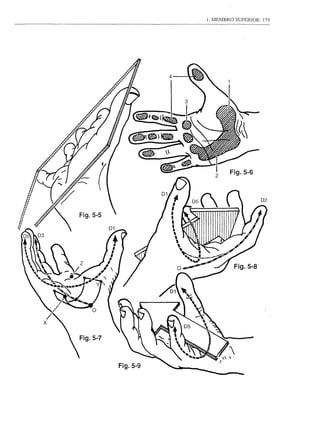1. MEMBRO SUPERIOR 179




                      2     Fig.5-6




Fig.5-7



          Fig.5-9
 