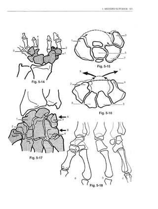1. MEMBRO SUPERIOR   183




3




                        Fig.5-16
               ~A
                    3




    Fig.5-17
 