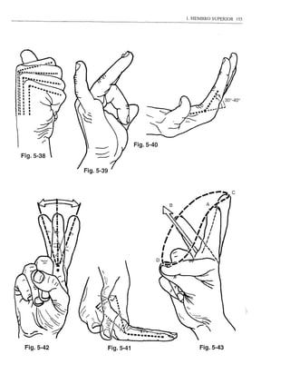 1. MEMBRO SUPERIOR   195




                       Fig.5-40
Fig.5-38




 Fig.5-42   Fig.5-41                   Fig.5-43
 