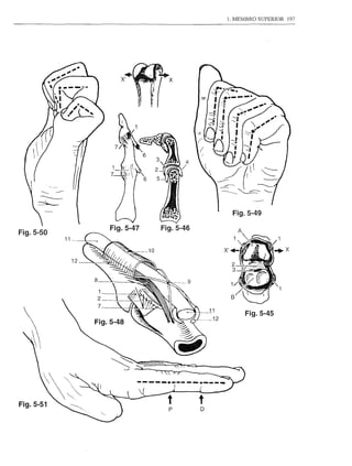 1. MEMBRO SUPERIOR   197




                                 •
                                XI




                                                        Fig.5-49

                             Fig.5-47   Fig.5-46
Fig.5-50
           11



                12


                     8                         9

                     1
                     2
                         7
                                                             Fig.5-45
                     Fig.5-48




                                         tP        D
 