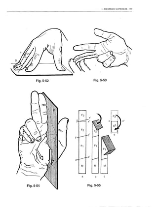 Fig.5-52                         Fig.5-53




   -
   ---n
                  '




           /""
                 .111
                                                 ~...•............   ,
                                                 :                   :



                                                  :F~1
                                 y'
                                                 x@lx.
                                                   d I
                        y




                                 z'
                        z·


                             M




                             a        b     c


Fig.5-54                         Fig.5-55
 