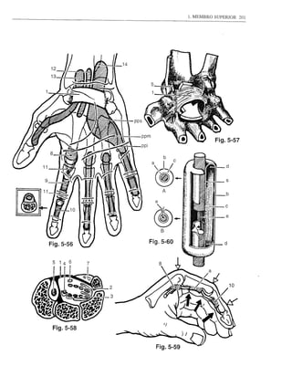 1. MEMBRO SUPERIOR   201




                                     Fig.5-57
ppi




          B

      Fig.5-60




                     ) J
              ---.....
        Fig.5-59
 