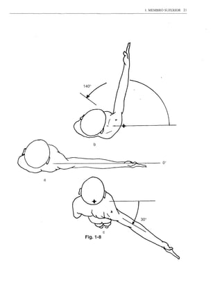 1. MEMBRO SUPERIOR   21




       b




a




              c
    Fig.1-8
 