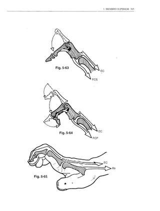 1. MEMBRO SUPERIOR   205




           Fig.5-63
                               EC




                              EC
             Fig.5-64




                        ~EC
                                         Rs


Fig.5-65
                •
 