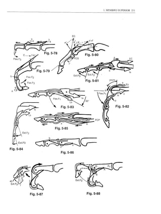 1. MEMBRO   SUPERIOR    211




                                 EC




b

                                      Fig.5-81                  a
                                                                    Ec




                          Fig.5-83                       Fig.5-82




                      Fig.5-85




Fig.5-84
                          Fig.5-86




           Fig.5-87                   Fig.5-88
 