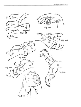 1. MEMBRO SUPERIOR   215




~/rc




c.~
~~~

       d               e
                           Fig.5-95




  ~           Fig.5-94




                                                    -

                                              Fig.5-98




           Fig.5-100
 