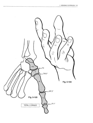 1. MEMBRO SUPERIOR   219




                              Fig.5-104




     Fig.5-105


TOTAL: 5 GRAUS




                 ,_1F:10
 