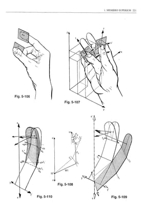 1. MEMBRO   SUPERIOR   221




                                                  tI
                                       z




    Fig.5-106
                                      Fig.5-107

                                                  y




     x



                                           H

                             Xl




                             X

y
                                  Fig.5-108


     Xl         Fig. 5-110                                 Fig.5-109
 