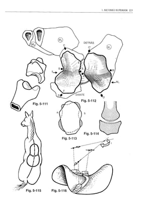 1. MDIBRO SUPERIOR 223
 