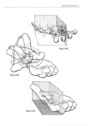 1. MEMBRO SUPERIOR   233




                        Fig.5-142




Fig.5-143




            Fig.5-144
 
