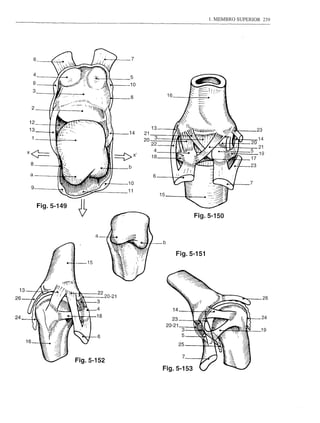 1. MEMBRO SUPERIOR       239




                      6                                             7

                      4
                                                                5
                      9                                         10
                  3
                                                                8
                  2

              12
              13                                                           13                                        23
                                                                14      21_
                  1                                                     20~                                      -14
                                                                           22                                   20
                                                                           4
                                                                                                                _21
                                                                                                                ~19
                                                                          18                                    17
                  8                                                                                             23
                                                                b
                  a                                                        6
                                                                10                                              7
                  9
                                                                11
                                                                                15

                          Fig.5-149
                                                                                          Fig.5-150

                                             a
                                                                                 b


                                                                                     Fig.5-151



                                                 -
                    ' ~,y
            ~-:.J26~~18 ~
            n~_ I H:o-:
            ~~~·~~~rgA""
             1.--24 f.,
            r.~           /   .Ç:;: ~   19 14         l.~
                                                            7
      4
             3
          1~~!;;/A:nr~                     2220_21 25
                                              3""lU,.
Fig.5-153
 