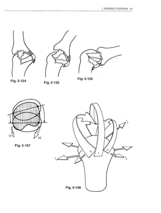 1. MEMBRO SUPERIOR   241




                                 Fig.5-156
Fig.5-154     Fig.5-155




  Fig.5-157




                          Fig.5-158
 