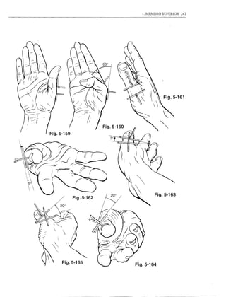 1. MEMBRO             SUPERIOR   243




                                    '~
                               '"      '   ,       Fig. 5-161

                                                      ~


                 Fig.5-160                        ~




                                         Fig.5-163
     Fig.5-162




Fig.5-165                    Fig.5-164
 