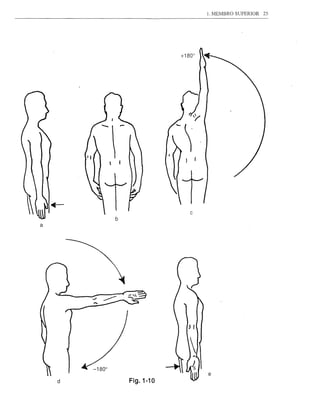 1. MEMBRO SUPERIOR 25




                       + 1800




                           c
        b
a




                                e
    d       Fig.1-10
 