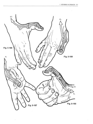 EC
                      EL




AL                         Fig.5-189




          Fig.5-187
 