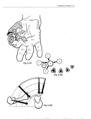 1. MEMBRO SUPERIOR   255




Fig.5-191

            ~p
             ~~




                  ~~~
                                            @
                        Fig.5-192
 