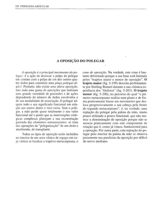 258 FISIOLOGIA ARTICULAR




                                A OPOSIÇÃO DO POLEGAR


     A oposição é o principal movimento do po-      cone de oposição. Na verdade, este cone é bas-
legar: é a ação de deslocar a polpa do polegar      tante deformado porque a sua base está limitada
em contato com a polpa de um dos outros qua-        pelos "trajetos maior e menor de oposição". O
tro dedos para constituir uma pinça polegar-di-     trajeto maior (fig. 5-199) descrito perfeitamen-
gital. Portanto, não existe uma única oposição,     te por Sterling Bunnel durante a sua clássica ex-
mas toda uma gama de oposições que realizam         periência dos "fósforos" (fig. 5-203). O trajeto
uma grande variedade de preensões e de ações        menor (fig. 5-200), no percurso do qual "o pri-
dependendo do número de dedos envolvidos e          meiro metacarpeano realiza num plano e de for-
de sua modalidade de associação. O polegar ad-      ma praticamente linear um movimento que des-
quire todo o seu significado funcional em rela-     loca progressivamente a sua cabeça pela frente
ção aos outros dedos e vice-versa. Sem o pole-      do segundo metacarpeano", é, na verdade, uma
gar, a mão perde quase totalmente o seu valor       reptação do polegar pela palma da mão, muito
funcional até o ponto que as intervenções cirúr-    pouco utilizada e pouco funcional, que não me-
gicas complexas planejam a sua reconstrução         rece a denominação de oposição porque não se
partindo dos elementos remanescentes: se trata      associa praticamente com este componente de
das operações de "polegarização" de um dedo e       rotação que é, como já vimos, fundamental para
atualmente, de transplante.                         a oposição. Por outra parte, esta reptação do po-
     Todos os tipos de oposição estão incluídos     legar pelo interior da palma da mão se observa
no interior de um setor cônico de espaço em cu-     justamente nas paralisias da oposição por déficit
jo vértice se localiza a trapézio-metacarpeana, o   do nervo mediano.
 