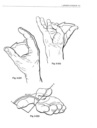 1. MEMBRO SUPERIOR   261




                            Fig.5-202




    Fig.5-201




A




                Fig.5-203
 