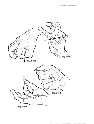 1. MEMBRO SUPERIOR   267




            Fig.5-212




                        Fig.5-214




Fig.5-213
 
