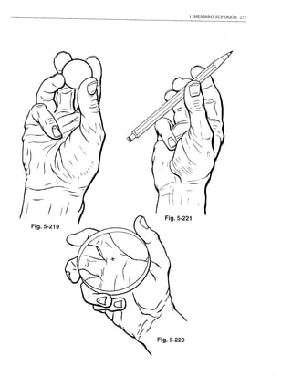 1. MEMBRO SUPERIOR   271




     /      I/
                       Fig.5-221
Fig.5-219




                 0
                 ;/;
                 (   Fig.5-220
 