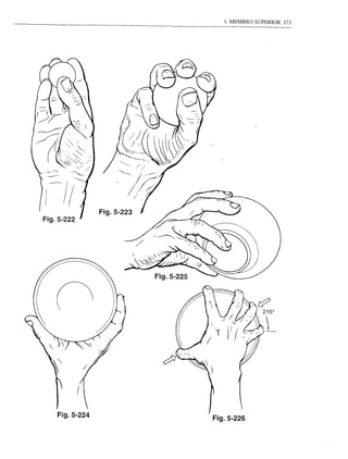 1. MEMBRO SUPERIOR   273




                Fig.5-223
Fig.5-222




                            Fig.5-225




    Fig.5-224                           Fig.5-226
 