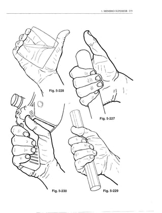 1. MEMBRO SUPERIOR 275




Fig.5-228




             Fig.5-227




 Fig.5-230
 